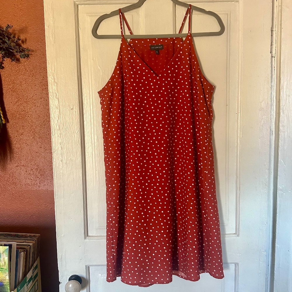 Polka Dot Dress